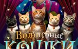 Сжат куклачев А4 (1)